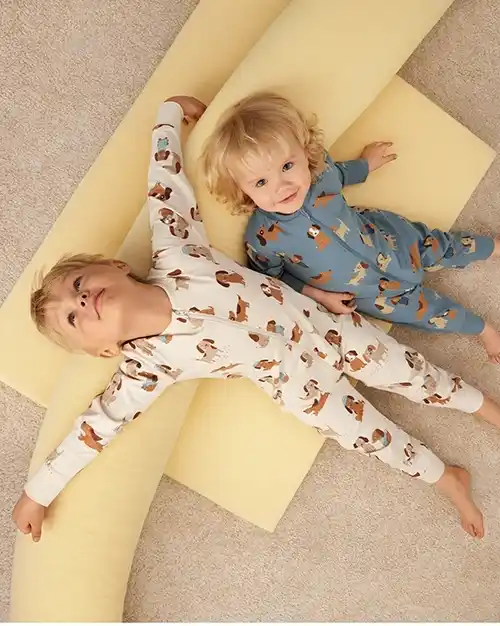 سرهمی لیندکس